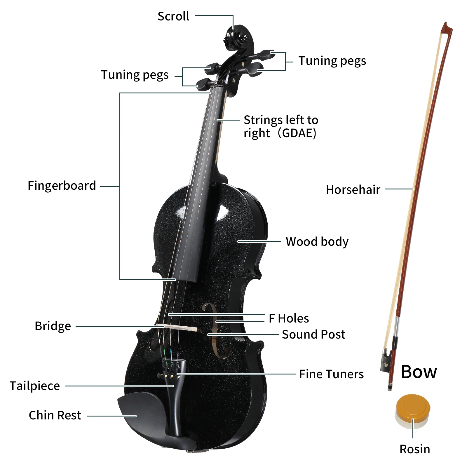 4/4 Full Size Violin Bundle for Beginners - Includes Hard Case, Bow, Shoulder Rest, Rosin & Extra Strings view 5